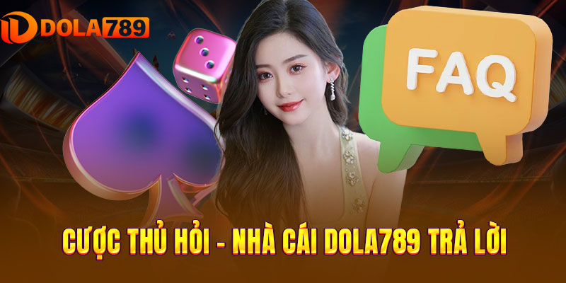 Hỏi gì đáp nấy cùng DOLA789 