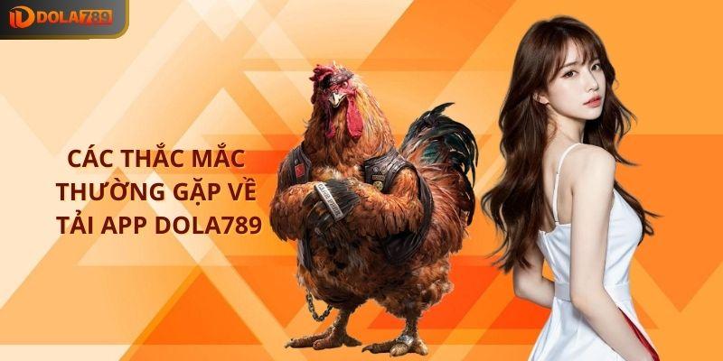 Các thắc mắc người chơi thường gặp về tải app DOLA789