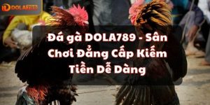 Đá gà DOLA789 - Sân Chơi Đẳng Cấp Kiếm Tiền Dễ Dàng