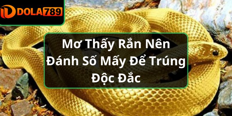 Mơ Thấy Rắn Nên Đánh Số Mấy Để Trúng Độc Đắc