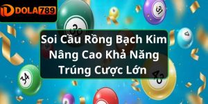 Soi Cầu Rồng Bạch Kim Nâng Cao Khả Năng Trúng Cược Lớn