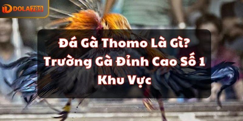 Đá Gà Thomo Là Gì? Trường Gà Đỉnh Cao Số 1 Khu Vực