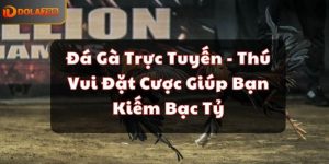 Đá Gà Trực Tuyến - Thú Vui Đặt Cược Giúp Bạn Kiếm Bạc Tỷ