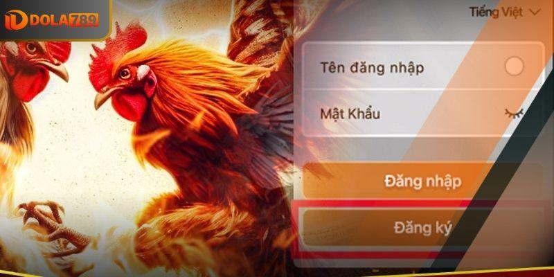 Mở tài khoản cược DOLA789 - Tham gia đá gà online cực đã