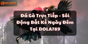 Đá Gà Trực Tiếp - Sôi Động Bất Kể Ngày Đêm Tại DOLA789